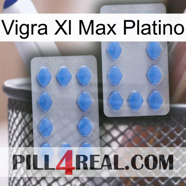 Vigra Xl Max Platinum 20.jpg